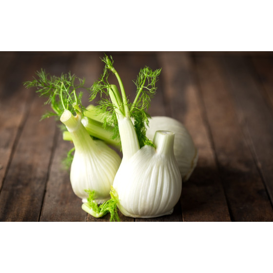 Fennel